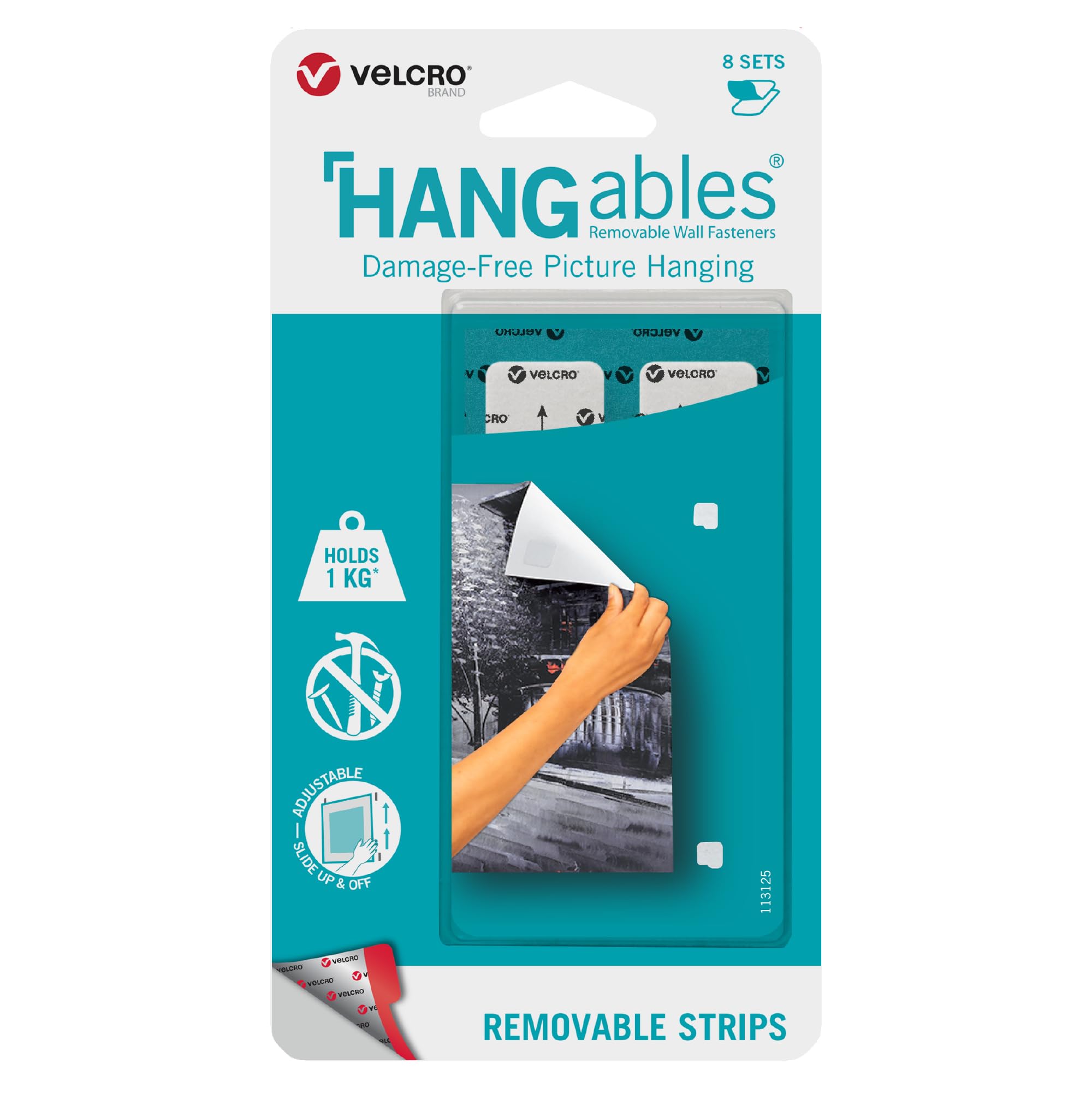 Picture Hanging Strips